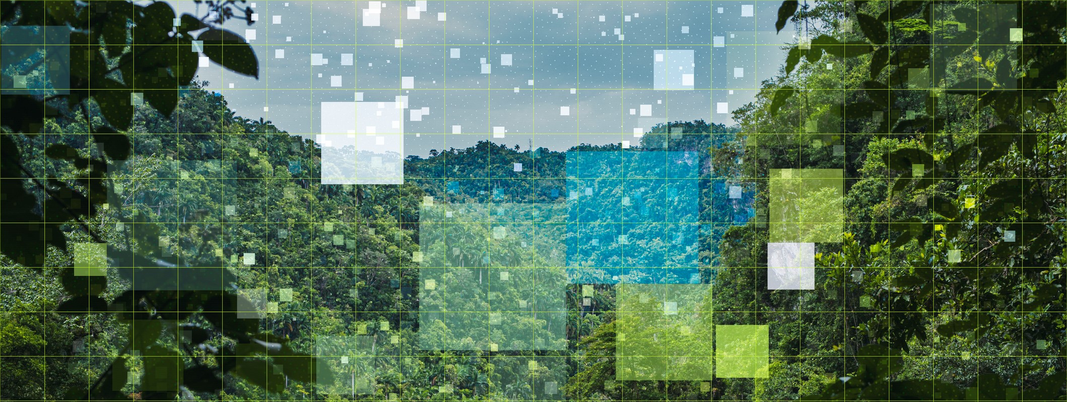 Digital nature related concept, Internet of things, networking, Big data, measure the nature